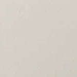 Shaker Dove Sample Swatch